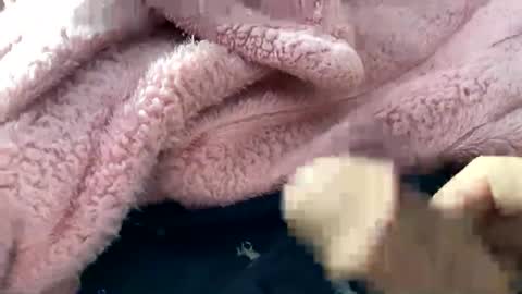 Snapshot of dannyboy621 chatting on 11-10-25, 02:16 dannyboy621 online show from 11-10-25, 02:16