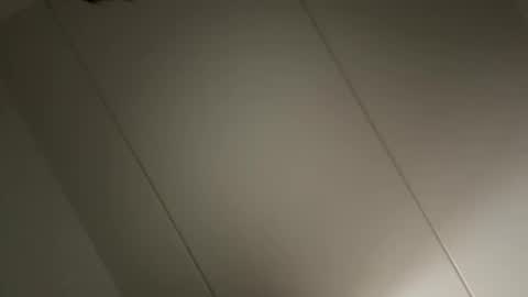 Snapshot of dansker90 chatting on 10-24-25, 08:55 Danishman online show from 10-24-25, 08:55