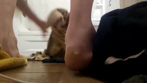 danydevil online show from 11-25-25, 04:56