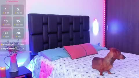 Snapshot of danyfitguy_ chatting on 03-10-25, 04:03 danyfitguy_ online show from 03-10-25, 04:03