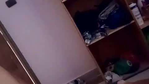 Snapshot of dario1127 chatting on 10-13-25, 01:33 dario1127 online show from 10-13-25, 01:33