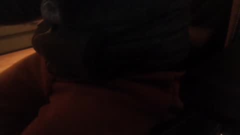 davdao3 online show from 12-20-24, 10:38