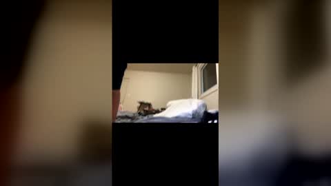 Exhibit A online show from 02-22-26, 11:20