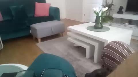 davf76 online show from 04-20-26, 07:33