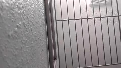 david_stone1969 online show from 01-25-25, 08:10