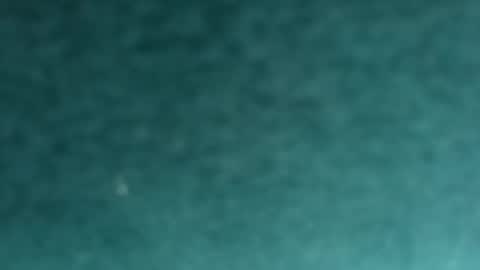 Snapshot of davidf75 chatting on 11-12-25, 09:42 davidf75 online show from 11-12-25, 09:42