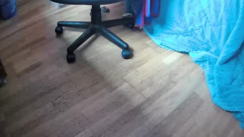 Hugo online show from 02-12-25, 11:51