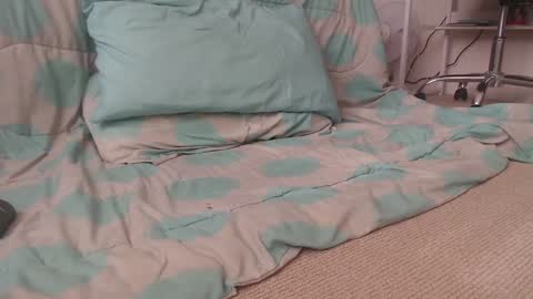 dav online show from 12-02-24, 09:28