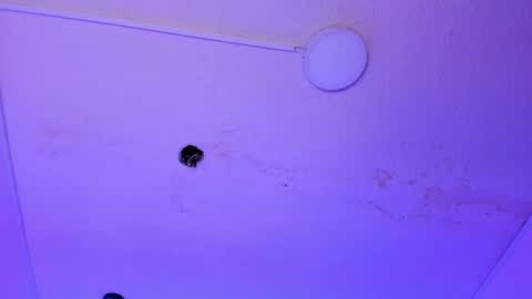 dayana_harlow2 online show from 01-15-25, 10:13