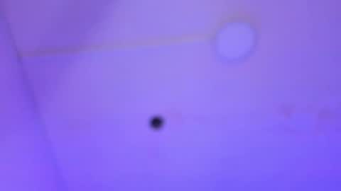 dayana_harlow2 online show from 01-16-25, 01:16