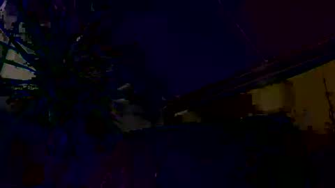 dayblue online show from 03-01-26, 09:33