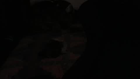Snapshot of ddc444 chatting on 11-23-25, 02:22 DC online show from 11-23-25, 02:22