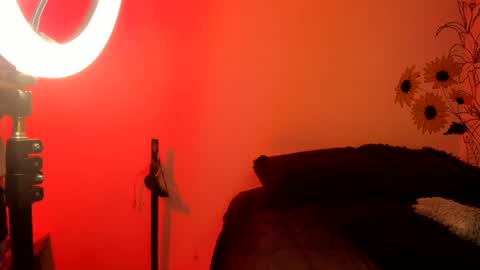 Snapshot of dear_venus chatting on 12-04-24, 02:31 venus adam online show from 12-04-24, 02:31