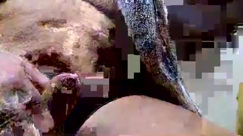 Dive Deep online show from 12-15-25, 06:45