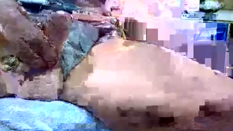 Dive Deep online show from 01-19-26, 12:14