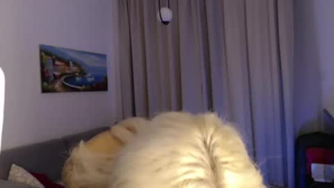 Snapshot of deewhitee chatting on 07-06-26, 07:16 Jenna online show from 07-06-26, 07:16