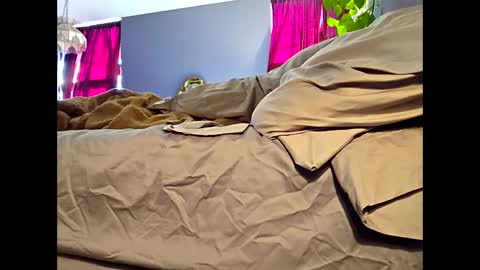 Snapshot of definitelymasterbating chatting on 03-17-26, 02:42 definitelymasterbating online show from 03-17-26, 02:42