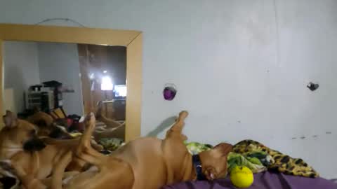 demivercetti online show from 12-22-25, 04:42