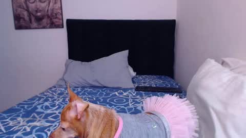 Derek online show from 03-02-25, 08:29