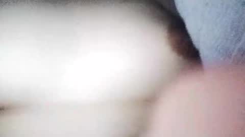 Snapshot of desurvv0999 chatting on 11-19-25, 08:03 desurvv0999 online show from 11-19-25, 08:03