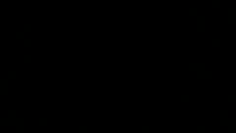 dexcarter81 online show from 03-02-25, 12:32