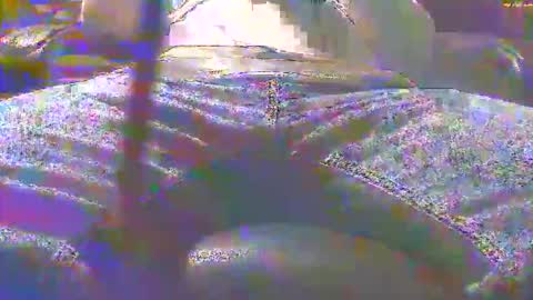 dfwgonewrong online show from 11-03-25, 04:47