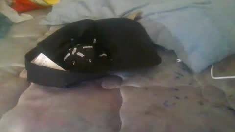 Snapshot of diamondeye112 chatting on 12-23-25, 05:05 diamondeye112 online show from 12-23-25, 05:05