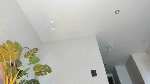 dianac1998 online show from 01-05-26, 09:18