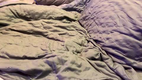 dicapri91 online show from 01-17-25, 05:32