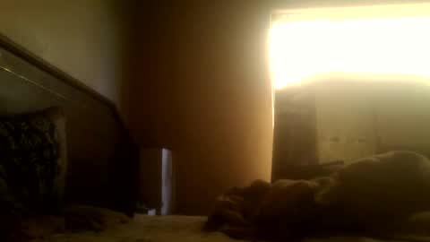 Snapshot of dickdaxxx chatting on 03-02-25, 08:16 dickdaxxx online show from 03-02-25, 08:16