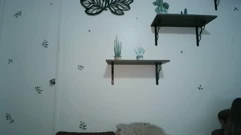 dickslayerdan online show from 01-25-25, 08:21