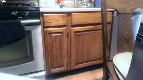 dickwack4u online show from 06-07-26, 04:33