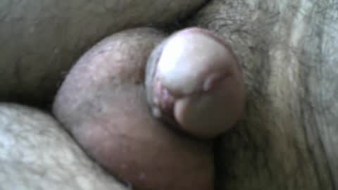 Bob online show from 01-11-25, 08:33