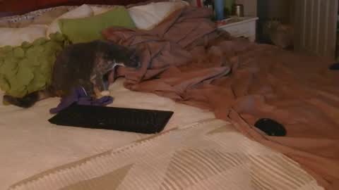 Snapshot of dildosnme22 chatting on 12-18-25, 09:15 dildosnme22 online show from 12-18-25, 09:15