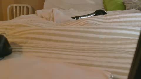 Snapshot of dildosnme22 chatting on 02-09-26, 11:14 dildosnme22 online show from 02-09-26, 11:14