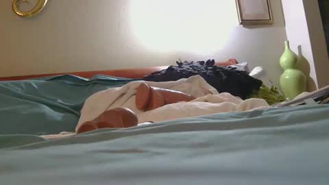 Snapshot of dildosnme22 chatting on 02-10-26, 02:48 dildosnme22 online show from 02-10-26, 02:48