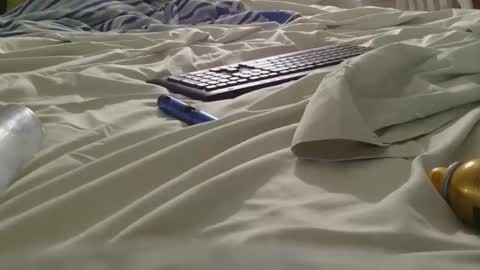 dildosnme22 online show from 06-05-26, 09:15