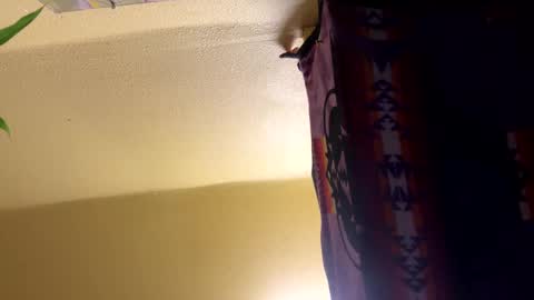 Snapshot of dimepiecebottom chatting on 12-08-24, 01:47 dimepiecebottom online show from 12-08-24, 01:47