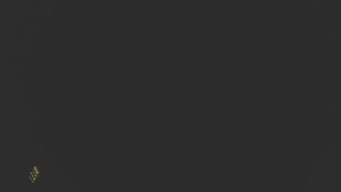 Snapshot of dinchtcams chatting on 02-24-25, 10:04 Dincht online show from 02-24-25, 10:04