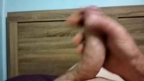 dingo_250 online show from 10-06-25, 12:35