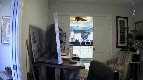 DirtkPitt Fun guy working online show from 01-03-25, 04:37