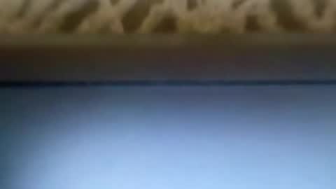 free4fun online show from 04-09-26, 06:13