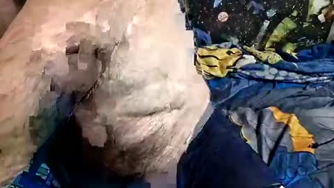 dirtmcgirt82 online show from 04-18-26, 06:06