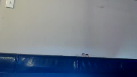 Daisy Wylde online show from 11-14-25, 01:32