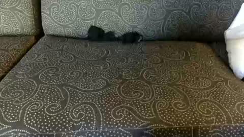 DirtyDanny online show from 06-16-26, 01:30
