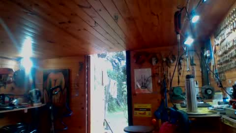 discretopasivo online show from 06-13-26, 05:00
