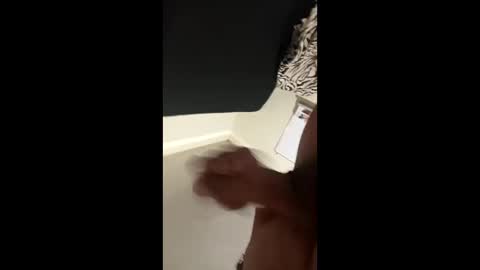 disidente1978 online show from 04-01-26, 02:34