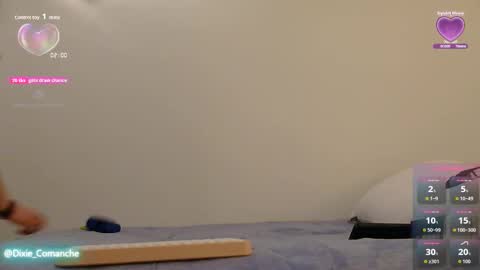 Snapshot of dixie_comanche chatting on 11-27-25, 04:03 dixie_comanche online show from 11-27-25, 04:03