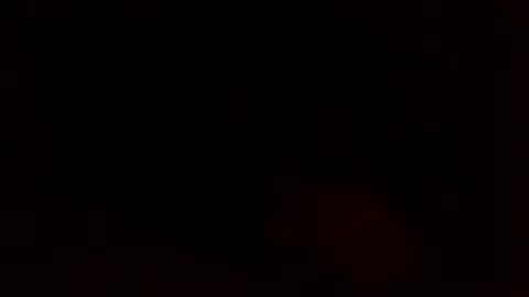 dixienormes online show from 12-08-24, 11:14