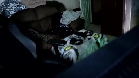 Hansel and Gretle online show from 04-21-26, 11:51